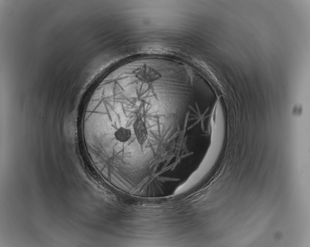 X0000099450531200805301514