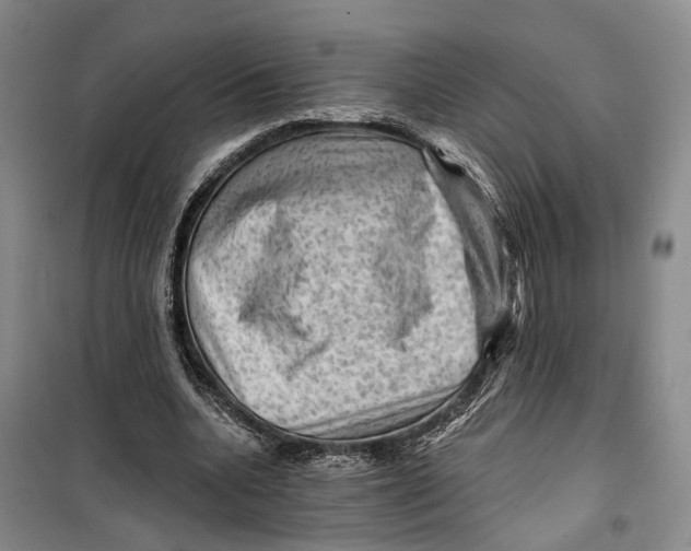 X0000099450536200805301514