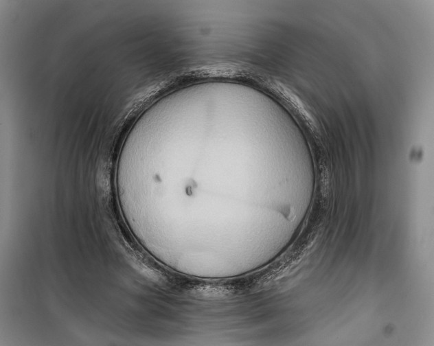 X0000099450537200805301514