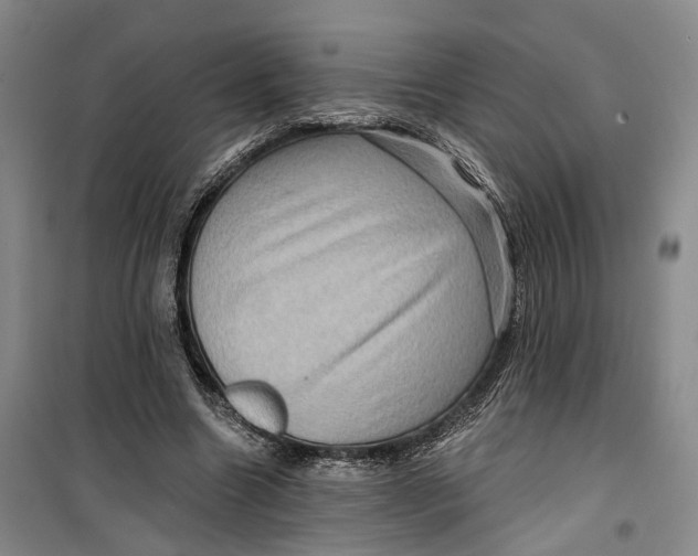 X0000099450538200805301514