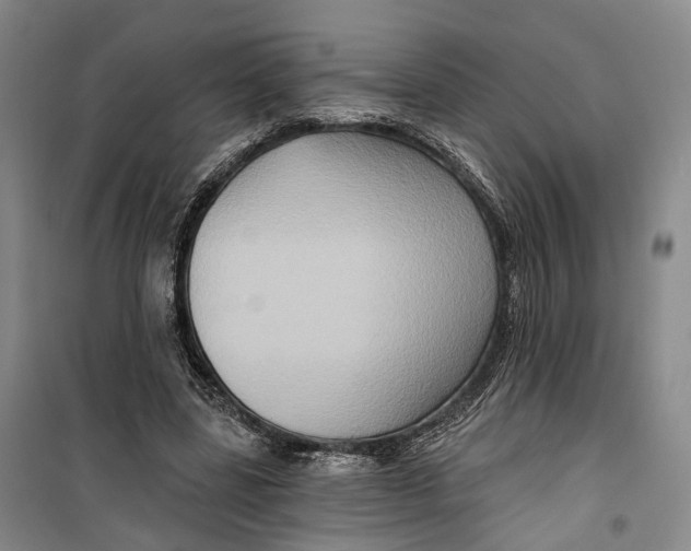 X0000099450539200805301515