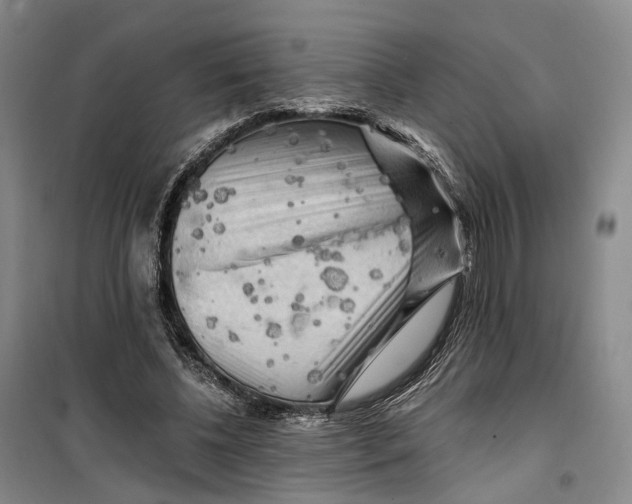 X0000099450540200805301515