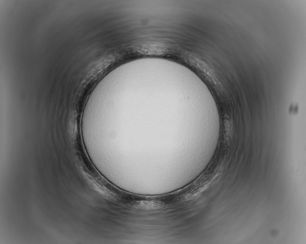 X0000099450541200805301515