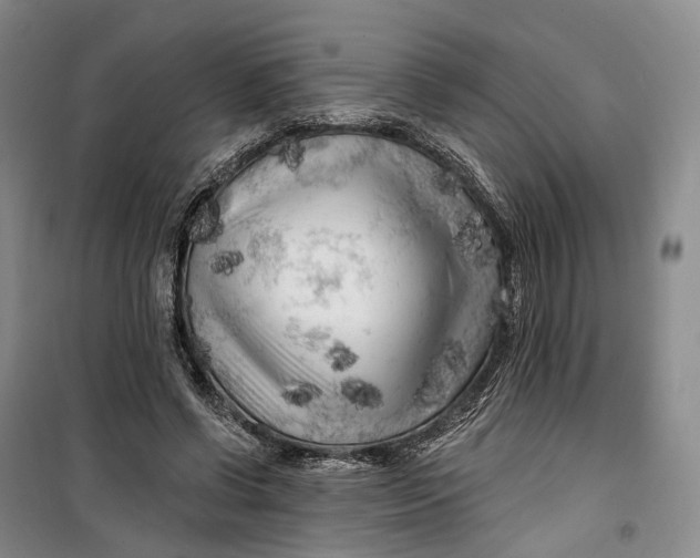 X0000099450542200805301515