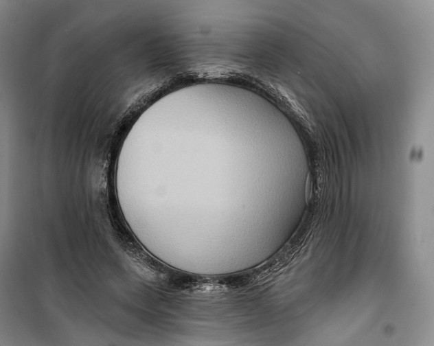 X0000099450543200805301515