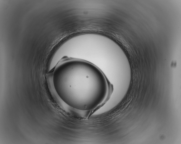 X0000099450544200805301515