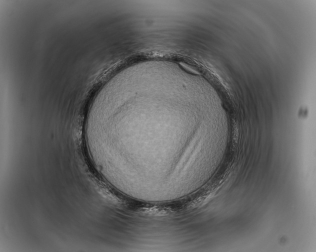 X0000099450545200805301515