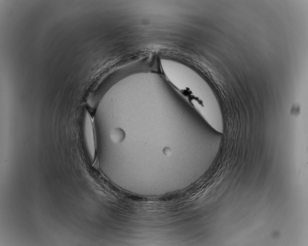 X0000099450546200805301515