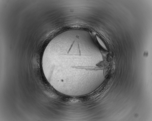 X0000099450547200805301515