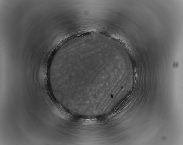 X0000099450548200805301515