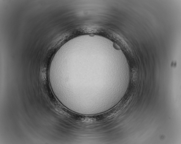 X0000099450549200805301515