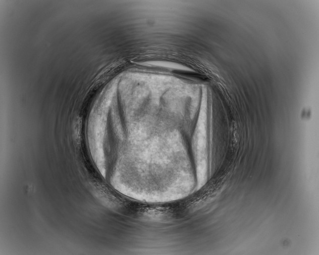 X0000099450550200805301515