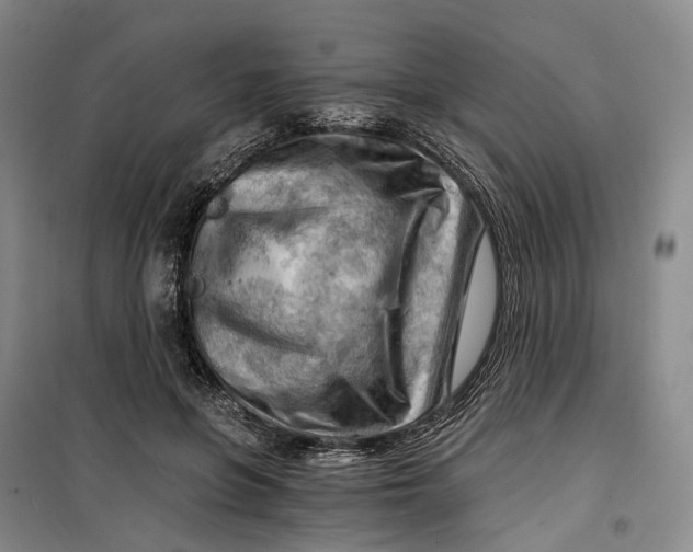 X0000099450551200805301515