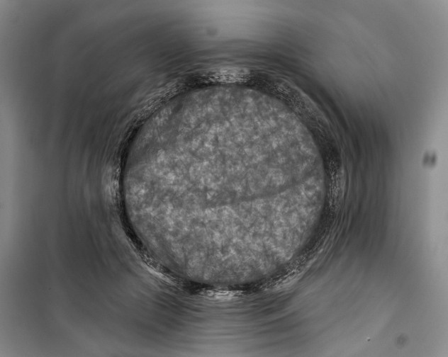 X0000099450553200805301515