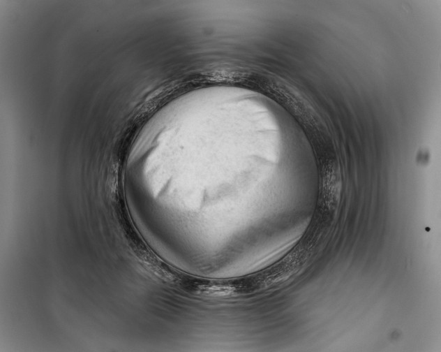 X0000099450554200805301515