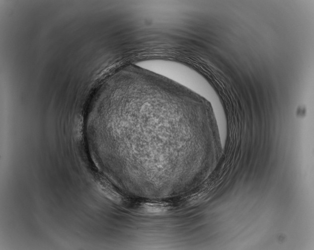 X0000099450556200805301515