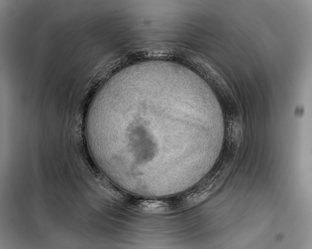 X0000099450557200805301515