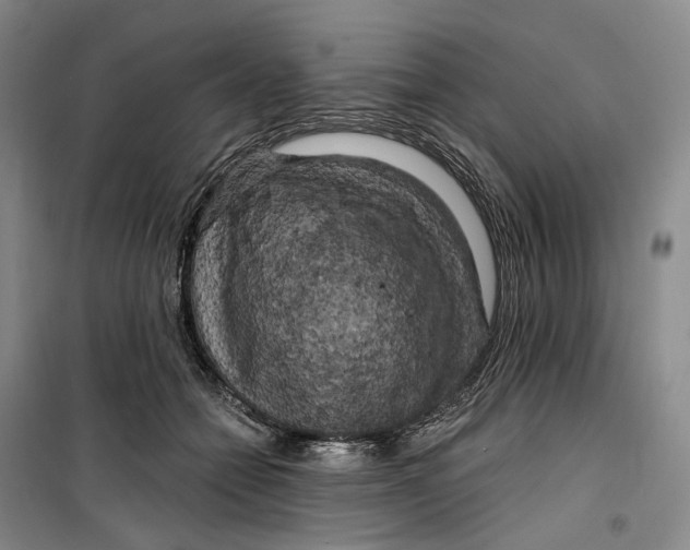 X0000099450558200805301515