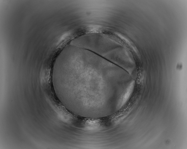 X0000099450560200805301515