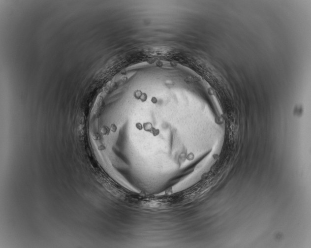 X0000099450561200805301515