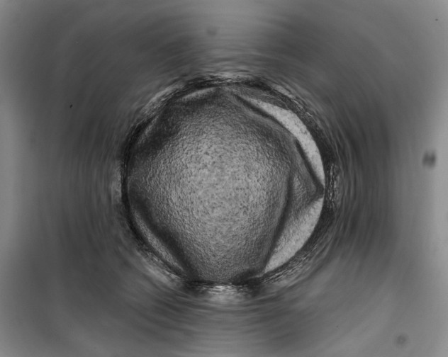 X0000099450562200805301515