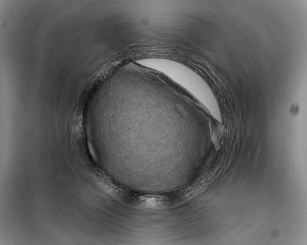 X0000099450564200805301515