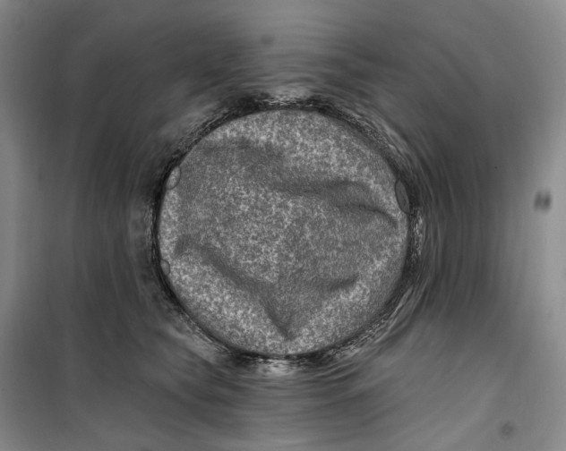 X0000099450565200805301515