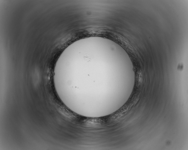 X0000099450567200805301515