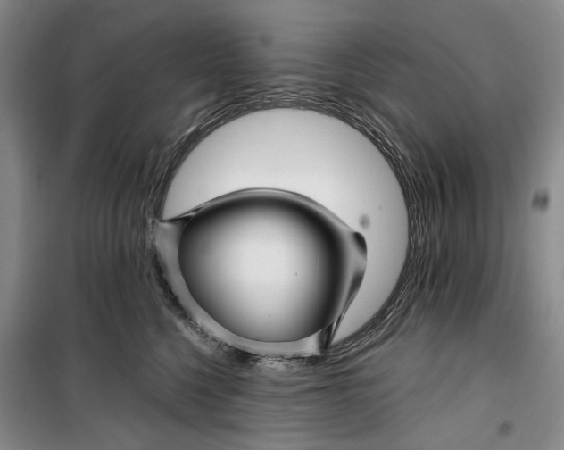 X0000099450568200805301515