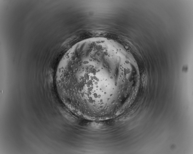 X0000099450570200805301515