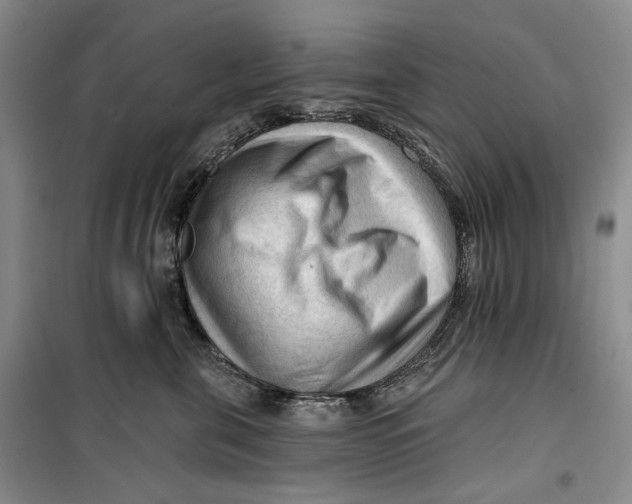 X0000099450571200805301515