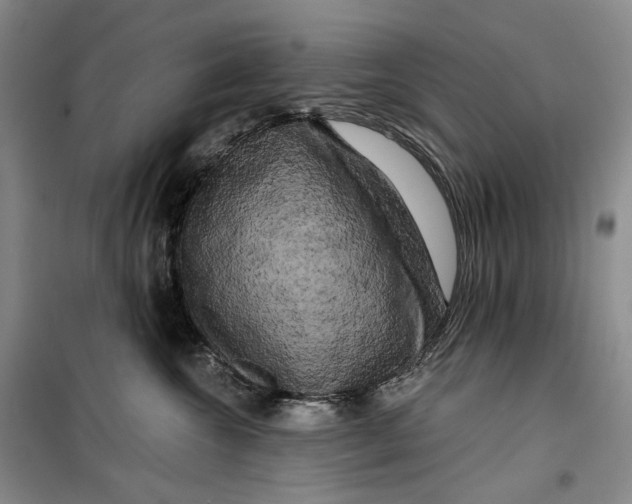 X0000099450572200805301515