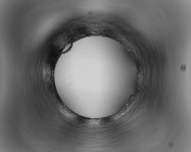 X0000099450574200805301515