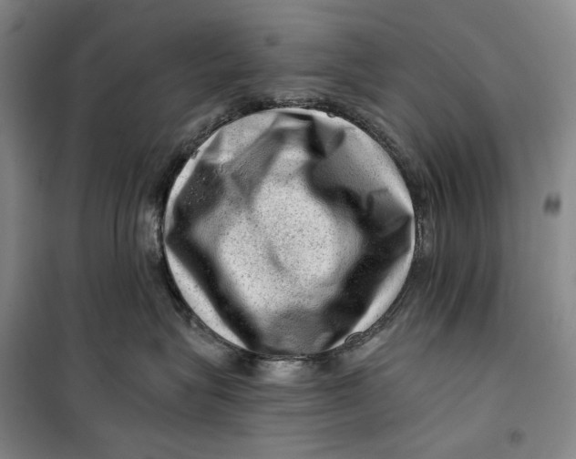 X0000099450575200805301515