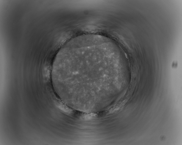 X0000099450576200805301515