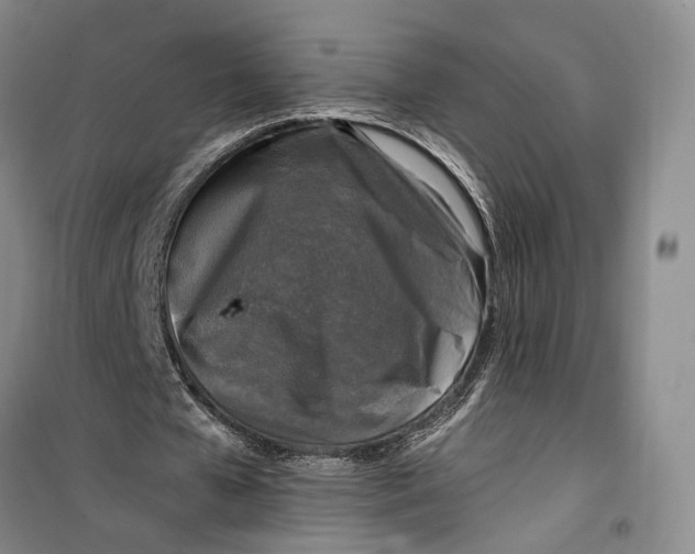 X0000099450577200805301514