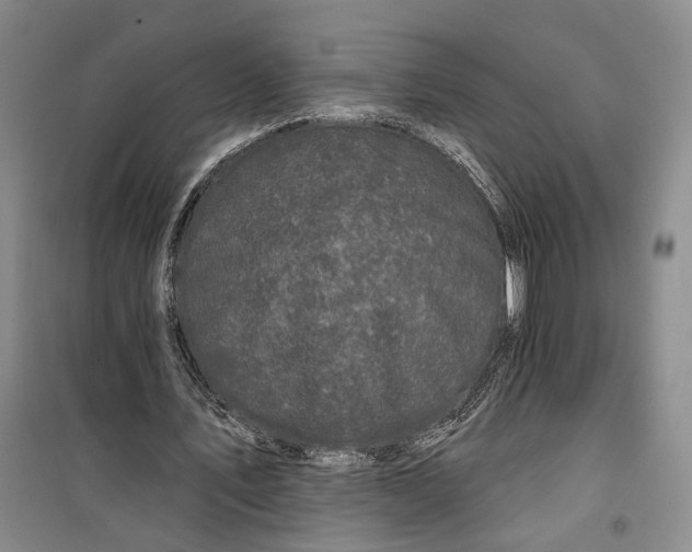 X0000099450579200805301514