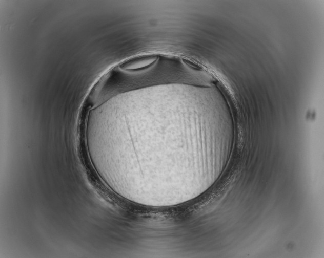 X0000099450580200805301514