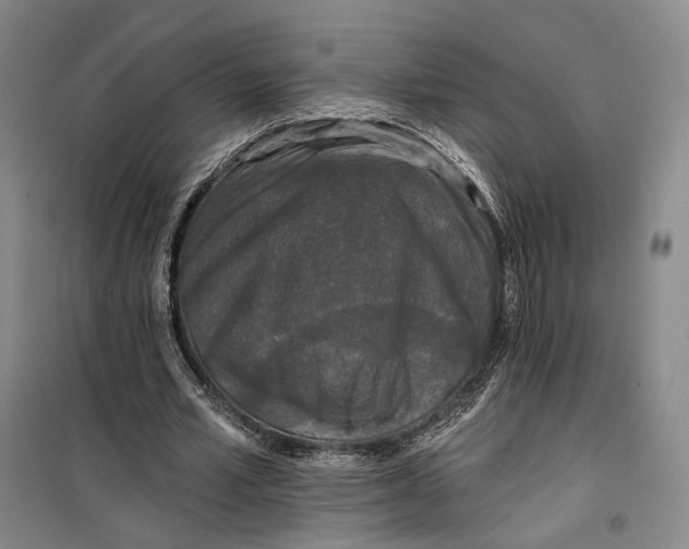 X0000099450581200805301514