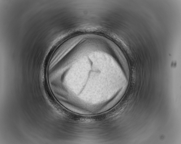 X0000099450582200805301514