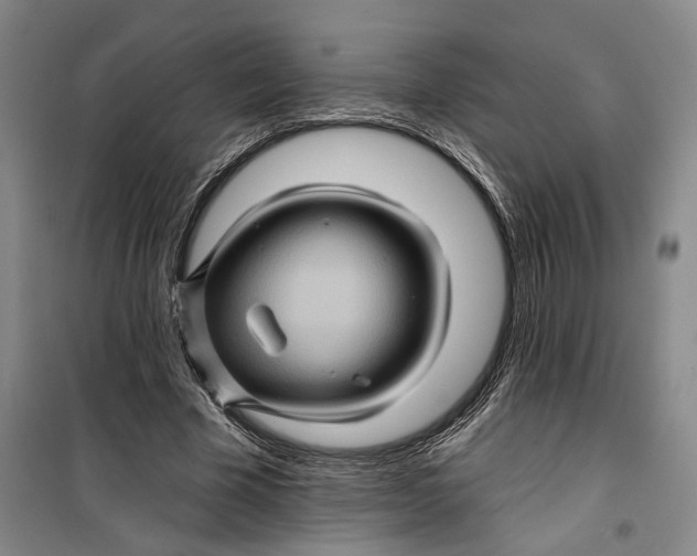 X0000099450585200805301514