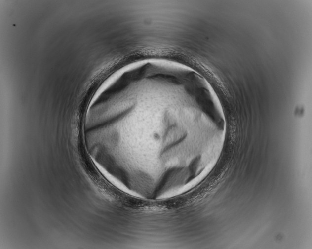 X0000099450586200805301514