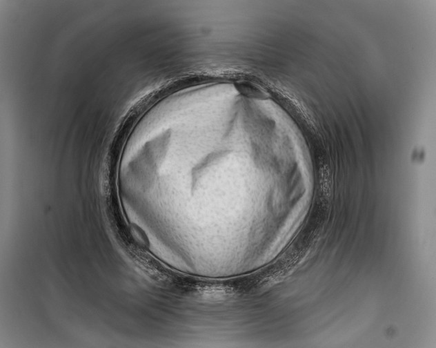 X0000099450587200805301514