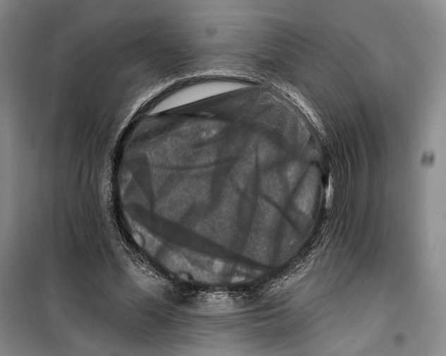 X0000099450588200805301514