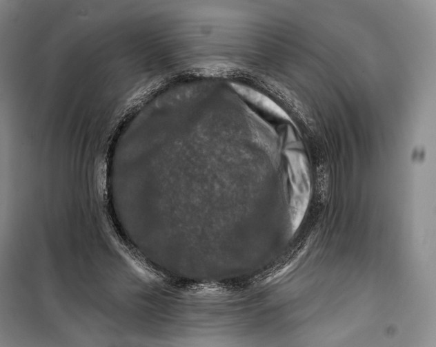 X0000099450589200805301514