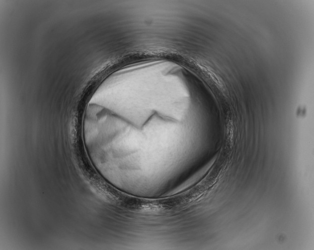 X0000099450591200805301514