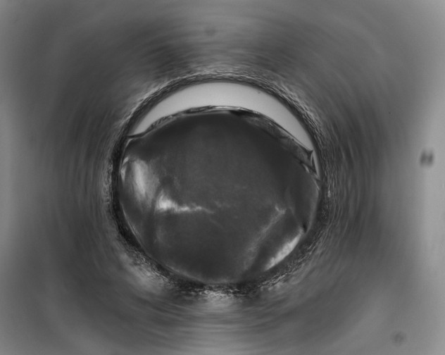 X0000099450592200805301514