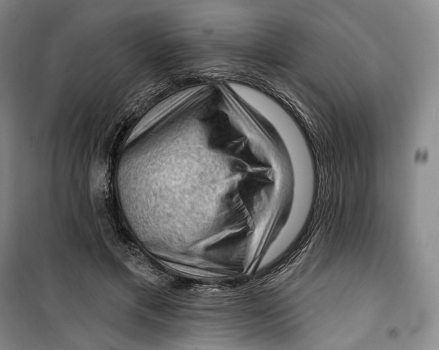 X0000099450597200805301514