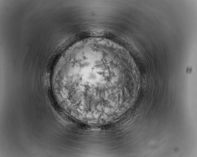 X0000099450598200805301514