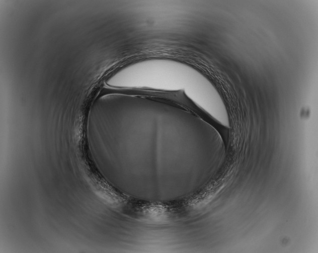 X0000099450600200805301514